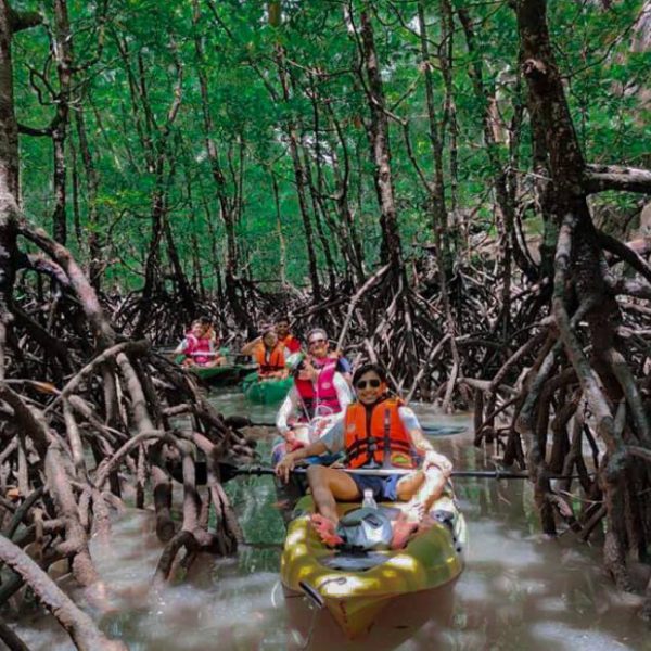 mangrove tour langkawi kayak